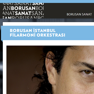 BorusanSanat.com, <br>Web Platformu